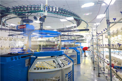 威海智造再提速 36家市級(jí)智能工廠(chǎng)獲認(rèn)定，智能水務(wù)系統(tǒng)開(kāi)發(fā)引領(lǐng)產(chǎn)業(yè)升級(jí)