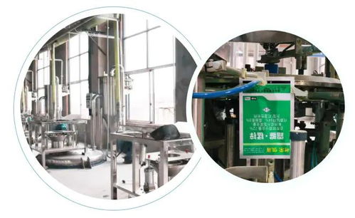 智能驅(qū)動(dòng)，水務(wù)革新 重慶樹(shù)榮長(zhǎng)壽區(qū)無(wú)人化新工廠正式投產(chǎn)