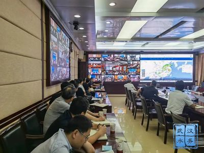 智慧水脈潤(rùn)江城 武漢市人民政府門(mén)戶網(wǎng)站智能水務(wù)系統(tǒng)開(kāi)發(fā)探析